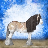 Horse Color:Brown Dun Mushroom Sabino Splash Rabicano