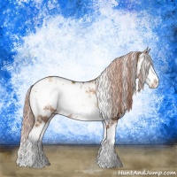 Horse Color:Gold Champagne Onyx Sabino Rabicano 