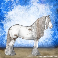 Horse Color:Liver Red Dun Sabino 