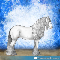 Horse Color:Grullo Sabino Rabicano 