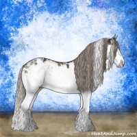 Horse Color:Liver Red Dun Mushroom Sabino Splash Rabicano Brindle