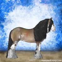 Horse Color:Brown Dun Sabino Rabicano Brindle 