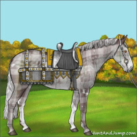 Horse Color:Plaid  White Spotted Chocolate Silver Black Chinchilla 