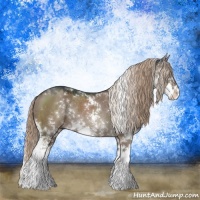 Horse Color:Liver Red Dun Sabino Rabicano