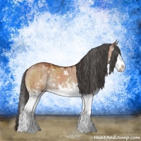 Horse Color:Brown Dun Mushroom Sabino Splash Rabicano Brindle 