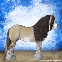 Horse Color:Liver Red Dun Sabino Rabicano