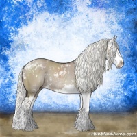 Horse Color:Liver Red Dun Mushroom Sabino Splash Rabicano