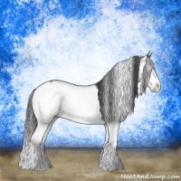 Horse Color:Grullo Sabino Splash Brindle 