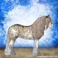 Horse Color:Liver Red Dun Sabino Rabicano Brindle 