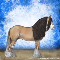 Horse Color:Bay Dun Sabino Splash Brindle 