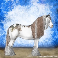 Horse Color:White Spotted Liver Red Dun Sabino Splash Rabicano Brindle