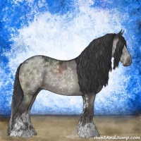 Horse Color:Grullo Sabino Rabicano
