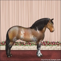 Horse Color:White Spotted Buckskin 