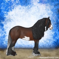 Horse Color:Brown Frame Rabicano 
