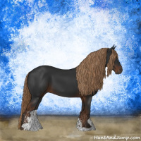 Horse Color:Gray Liver Chestnut Sabino 