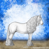 Horse Color:Gray Brown Sabino Rabicano