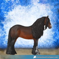 Horse Color:Brown Sabino Rabicano