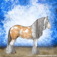 Horse Color:Buckskin Sabino Rabicano 