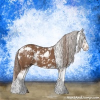Horse Color:Chestnut Sabino 