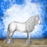 Horse Color:Gray Smoky Black Sabino 