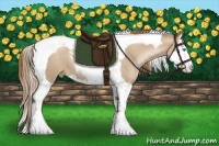 Horse Color:Smoky Black Pearl Sabino Splash Tobiano 