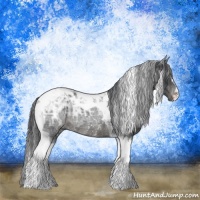 Horse Color:Black Ice Tobiano Rabicano