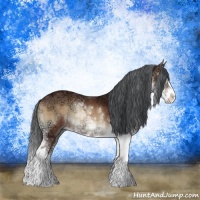 Horse Color:Bay Ice Onyx Sabino 