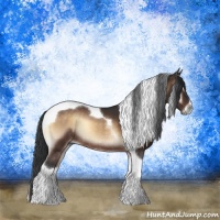 Horse Color:Brown Onyx Sabino Tobiano Rabicano