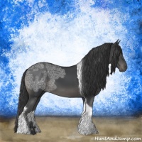 Horse Color:Black Ice Tobiano Rabicano