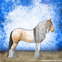 Horse Color:Buckskin Ice Tobiano Rabicano