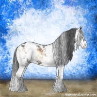 Horse Color:Brown Onyx Sabino