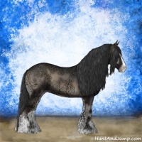 Horse Color:Blue Onyx Ice Sabino