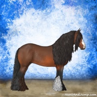 Horse Color:Brown Rabicano