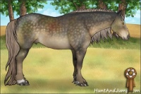 Horse Color:Chocolate Palomino Mushroom Sabino 