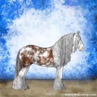 Horse Color:Brown Ice Sabino