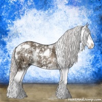 Horse Color:Silver Brown Ice Dun Sabino Splash 