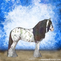 Horse Color:Nacre Bay Ice Onyx Tobiano Appaloosa