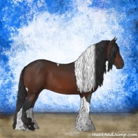Horse Color:Brown Tobiano Rabicano 