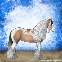 Horse Color:Sable Champagne Splash Tobiano Rabicano 