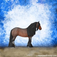 Horse Color:Brown Roan Sabino Rabicano