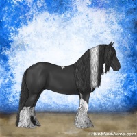 Horse Color:Black Tobiano Rabicano