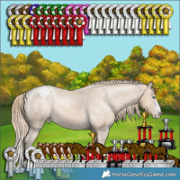 Horse Color:Perlino Varnish 
