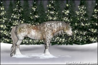Horse Color:Chocolate Palomino Sabino Rabicano  and Chocolate Palomino Sabino Rabicano 