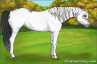Horse Color:White Spotted Black Frame 