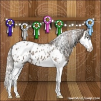 Horse Color:White Spotted Silver Grullo Splash Appaloosa 