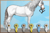 Horse Color:White Spotted Liver Chestnut Splash Frame 