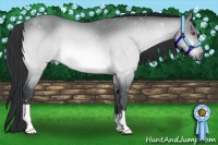 Horse Color:Brown Chinchilla 