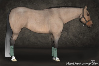Horse Color:Bay Roan Dun Brindle 