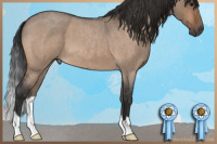 Horse Color:Bay Roan Dun Brindle