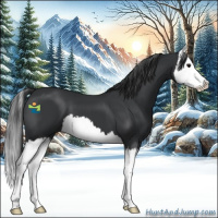 Horse Color:Black Splash